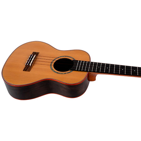 Diana Soundwave CE Tenor + Housse Flight