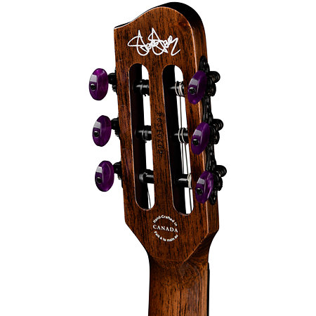 ACS Steve Stevens Signature 25th Anniversary + Étui Godin