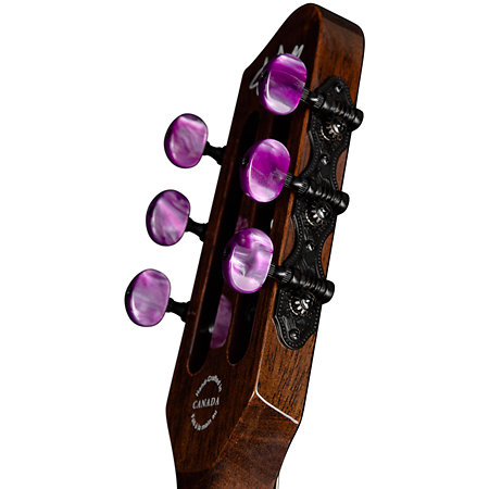 ACS Steve Stevens Signature 25th Anniversary + Étui Godin