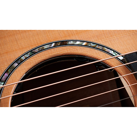 512ce Next generation + Etui Taylor