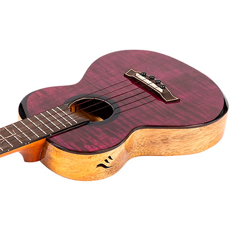 Songbird EQ-A Tenor + Housse Flight