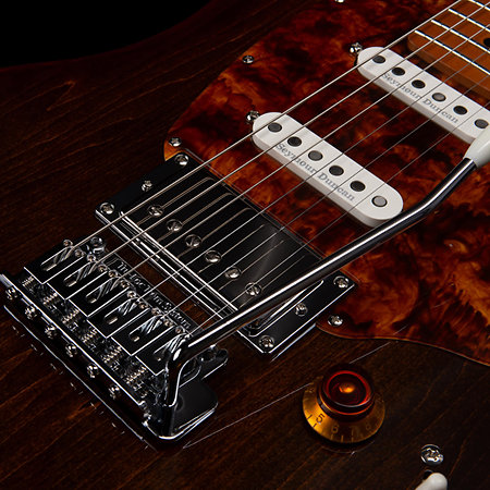 Godin Session T-Pro LTD Kanyon Burst MN + Housse