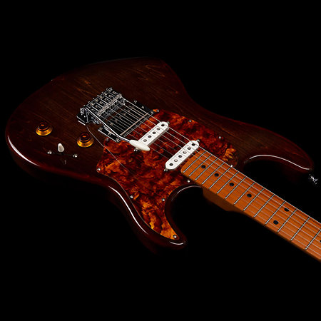 Session T-Pro LTD Kanyon Burst MN + Housse Godin