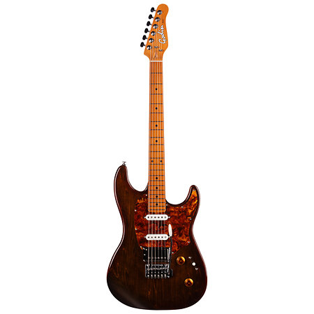 Session T-Pro LTD Kanyon Burst MN + Housse Godin