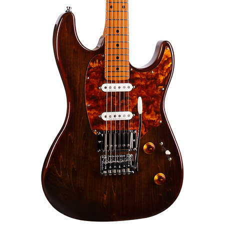 Session T-Pro LTD Kanyon Burst MN + Housse Godin