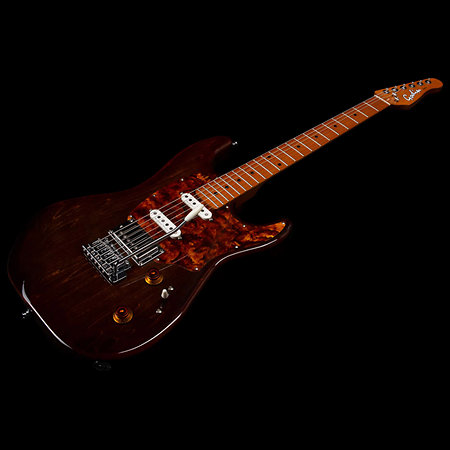 Session T-Pro LTD Kanyon Burst MN + Housse Godin