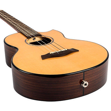 Aurora Baritone EQ-A + Housse Flight