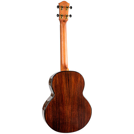 Aurora Baritone EQ-A + Housse Flight