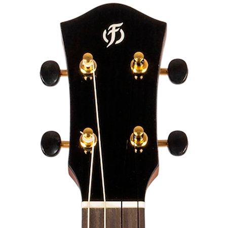 Aurora Baritone EQ-A + Housse Flight