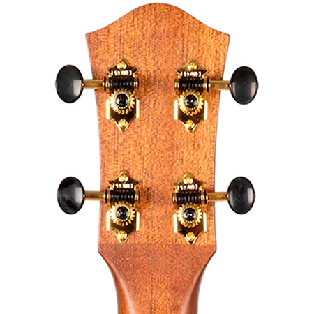 Aurora Baritone EQ-A + Housse Flight