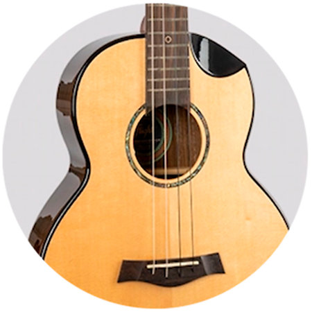Aurora Baritone EQ-A + Housse Flight