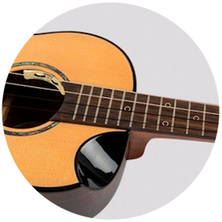 Aurora Baritone EQ-A + Housse Flight