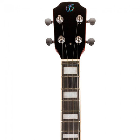 Centurion Tenor Vintage Burst + Housse Flight