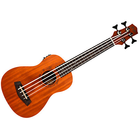 DUBS Electro-Acoustic Bass + Housse Flight