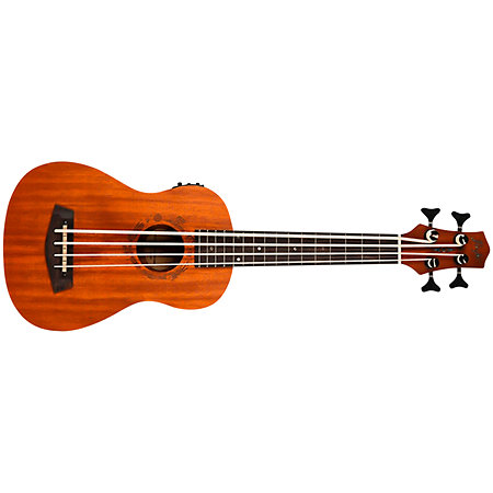 DUBS Electro-Acoustic Bass + Housse Flight