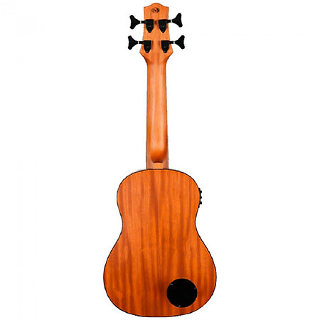 DUBS Electro-Acoustic Bass + Housse Flight