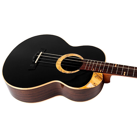 4SB Sammy Turton Baritone + Housse Flight