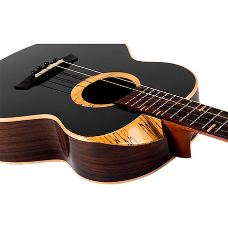 4SB Sammy Turton Baritone + Housse Flight