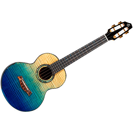 A10 FM Faded Blue Tenor 10th Anniversary + Housse Flight