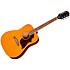 Hummingbird Tribute Antique Natural Epiphone