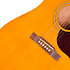 Hummingbird Tribute Antique Natural Epiphone