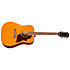 Hummingbird Tribute Antique Natural Epiphone