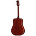 Hummingbird Tribute Antique Natural Epiphone