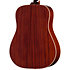 Hummingbird Tribute Antique Natural Epiphone