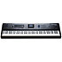 PC4 Kurzweil