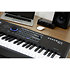 PC4 Kurzweil