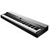 KA-P1 LB Black Kurzweil