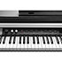 CUP-P1 SR Rosewood Kurzweil