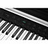CUP-P1 SR Rosewood Kurzweil