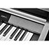 CUP-P1 SR Rosewood Kurzweil