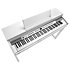 CUP-P1 WH White Kurzweil