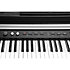 CUP-P1 BK Black Satin Kurzweil