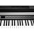 CUP-P1 BK Black Satin Kurzweil