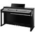 CUP-P1 BP Black Polish Kurzweil
