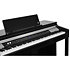 CUP-P1 BP Black Polish Kurzweil