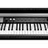 CUP-P1 BP Black Polish Kurzweil