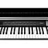 CUP-P1 BP Black Polish Kurzweil