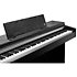 CUP-M1 SR Rosewood Kurzweil