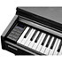 CUP-M1 SR Rosewood Kurzweil