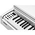 CUP-M1 WH White Kurzweil