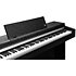 CUP-M1 BK Black Kurzweil