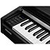 CUP-M1 BK Black Kurzweil