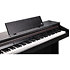 CUP-E1 SR Rosewood Kurzweil