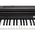 CUP-E1 SR Rosewood Kurzweil