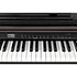 CUP-E1 SR Rosewood Kurzweil