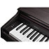 CUP-E1 SR Rosewood Kurzweil